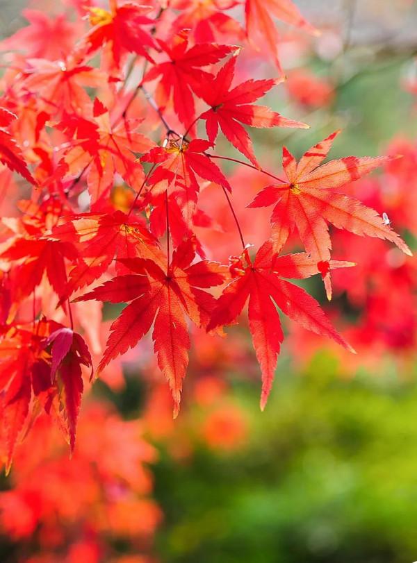 80尾女,未婚未育,裸辭1年,沒有規劃不求上進憑啥要求男的上進 80尾女,未婚未育,裸辭1年,沒有規劃不求上進憑啥要求男的上進