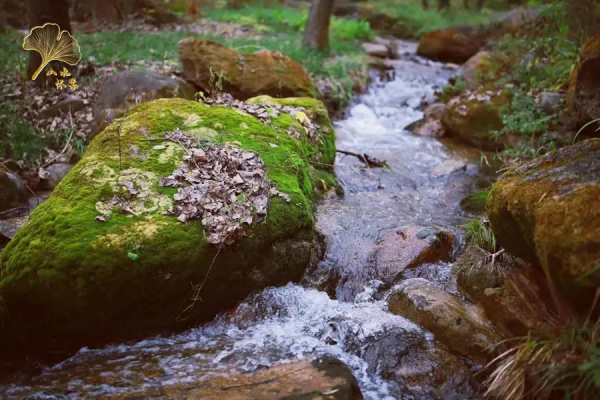 【玩轉懷柔】2021懷柔賞秋攻略出爐！一個字，絕！