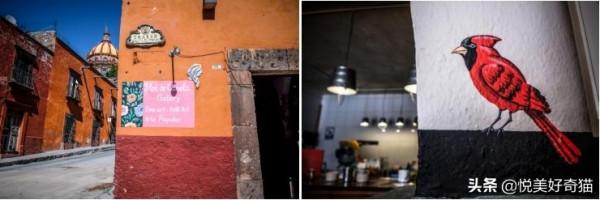 墨西哥旅行記11：“墨西哥心臟”原來是顆藝術之心