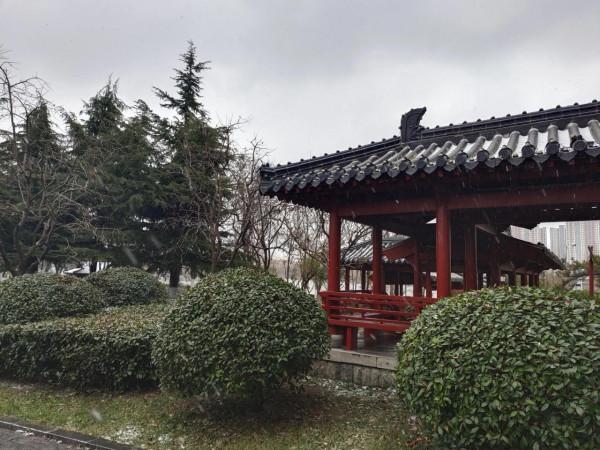 反貪風暴5 最終章“何爛之有”，所有爛片元素它都有