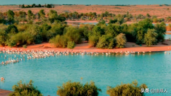 遠離喧囂和人群，阿聯酋這十個景點值得一去