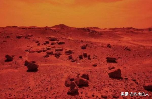 什麼是硼基生命？