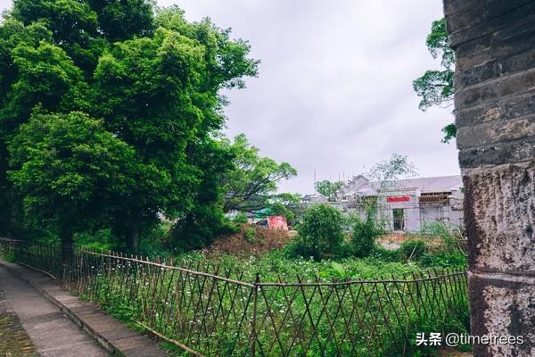 廣東人起源之謎：據說廣東人以前都是從這裡來的，這條巷子真神奇