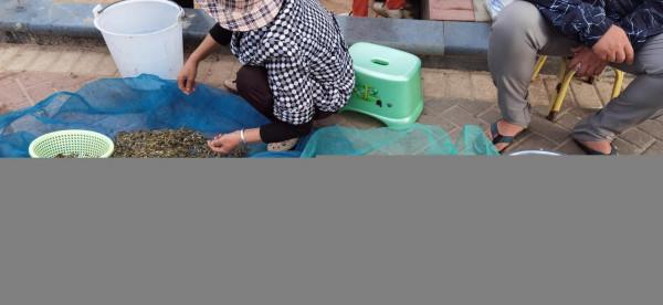 50元一天的撫仙湖岸邊小客棧，15元一公斤的小活蝦，體驗農家野趣