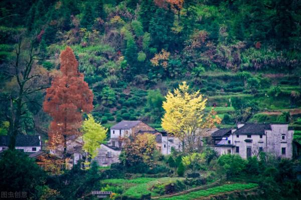 安徽又又又又又紅了 安徽又又又又又紅了