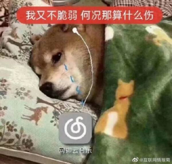 網易雲回應“網抑雲”現象，這些網抑雲經典語錄你聽過嗎