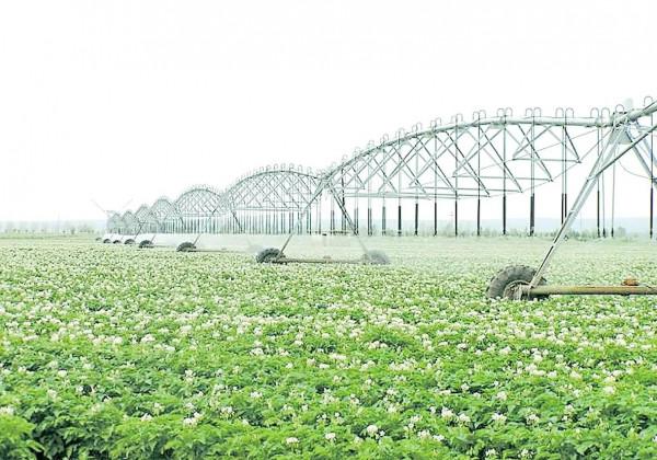 農業發展前景分析探討