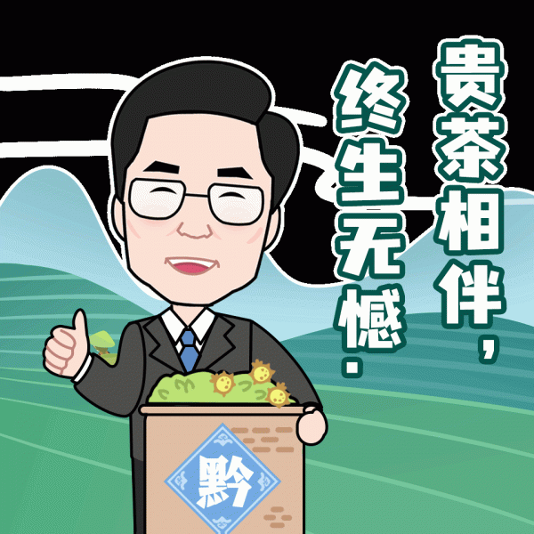 飛越群山 品讀700萬畝貴州茶 飛越群山 品讀700萬畝貴州茶