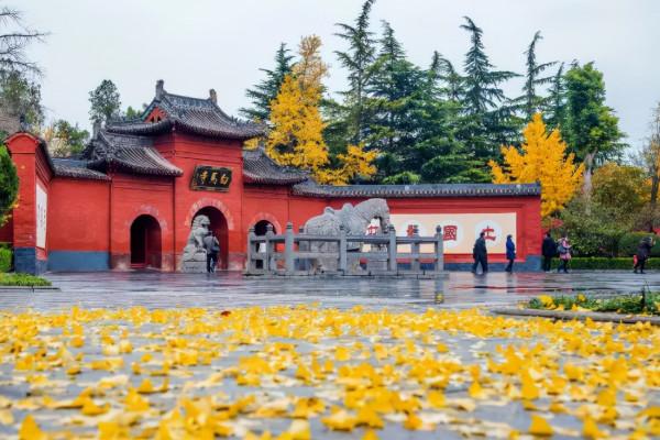 河南一古寺走紅,遊客買票去幫僧人搓玉米,遊客:好像回到小時候 河南一古寺走紅,遊客買票去幫僧人搓玉米,遊客:好像回到小時候