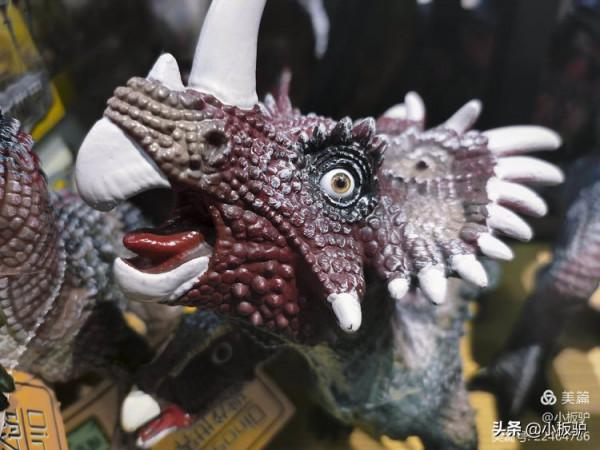 我的2021 又十二超市裡拍攝的恐龍