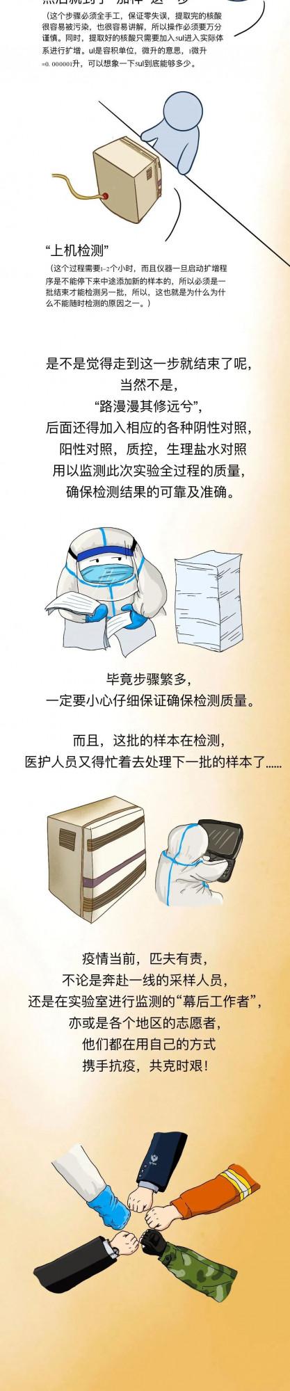 從咽喉開始,採集到的“核酸”都經歷了什麼? 從咽喉開始,採集到的“核酸”都經歷了什麼?