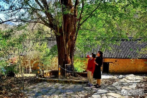 京山張菁拍攝組圖:紅色八字門 京山張菁拍攝組圖:紅色八字門