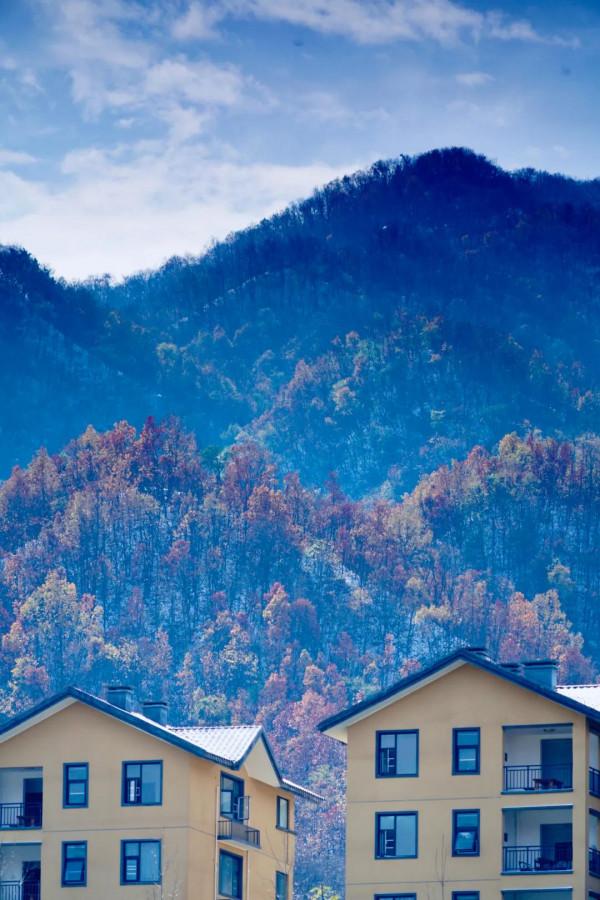 走!伏牛山裡過“彩冬” 走!伏牛山裡過“彩冬”