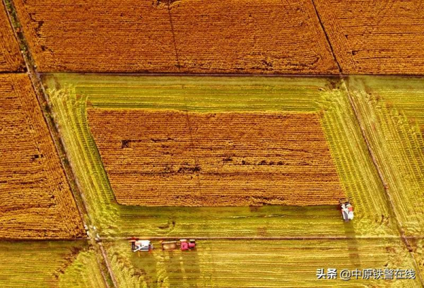 百年瞬間丨開發北大荒 百年瞬間丨開發北大荒