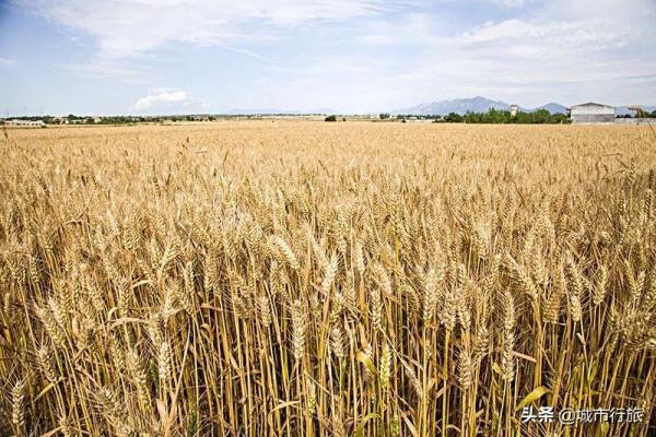 真實存在的《白鹿原》，分佈著眾多皇陵，除了霸陵還有哪座皇陵？