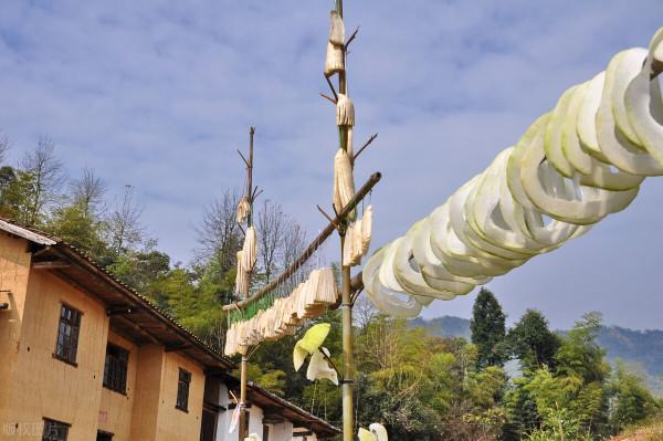 這7種廉價蔬菜曬乾後，美味翻倍！放1年不壞，天冷燉肉特別過癮