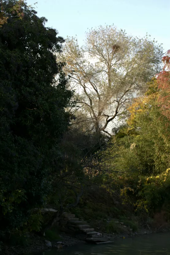 聯莊村：一個＂整＂出來的野趣盎然江南水鄉