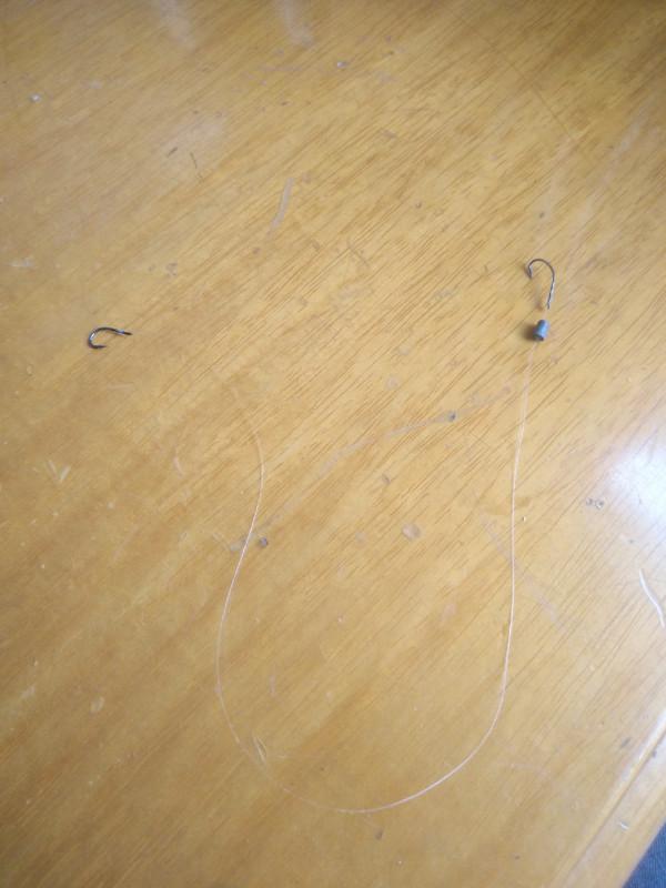 大師釣鯽魚果然有招，一起來學習一下吧