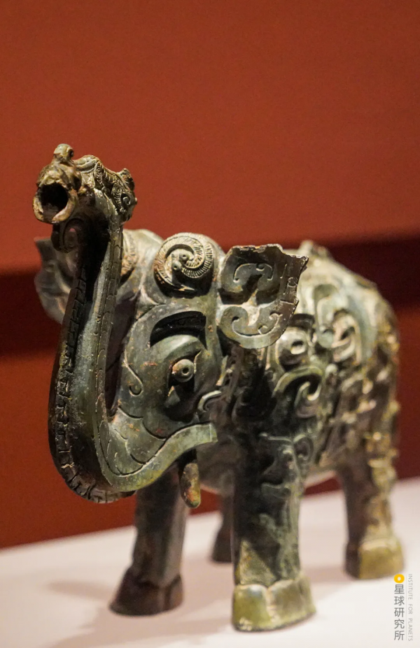 2021年度動物，是誰？