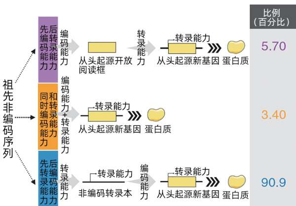 我們來自“垃圾DNA”?有人從水稻裡發現了“垃圾DNA”的價值:新基因的來源 我們來自“垃圾DNA”?有人從水稻裡發現了“垃圾DNA”的價值:新基因的來源