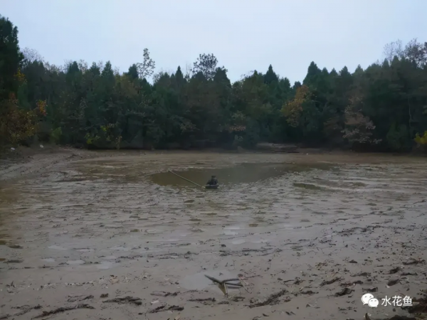 清塘消毒：幾種常見的清塘方式和常用清塘藥劑的功效及用法