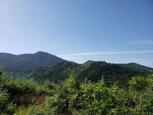 孟宗故里雨山行