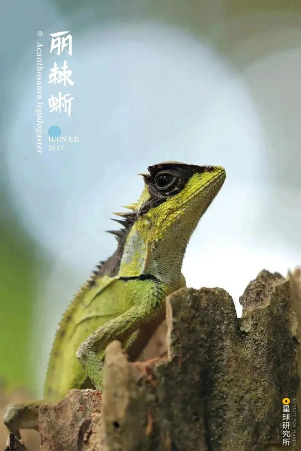 出發！看中國五大國家公園