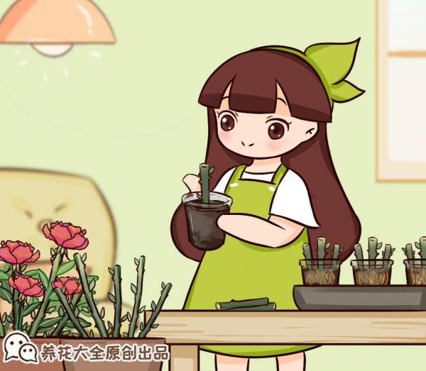 初秋養花，3種花別花錢買，掰個枝條插土裡很快長芽