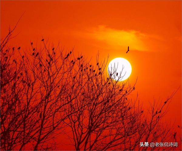 只有你思念過,才會懂得宋詞“年年陌上生秋草,日日樓中到夕陽” 只有你思念過,才會懂得宋詞“年年陌上生秋草,日日樓中到夕陽”