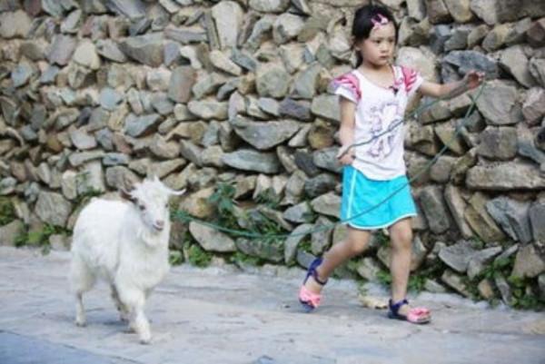 5位星二代,一看就知道是誰的孩子,父母的標誌性特徵被完美繼承 5位星二代,一看就知道是誰的孩子,父母的標誌性特徵被完美繼承