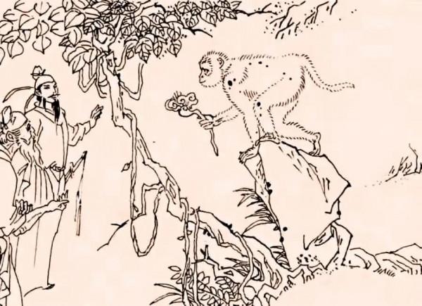 民間故事：男子救了母猴，母猴夜間託夢說，晚上吃飯千萬別喝湯