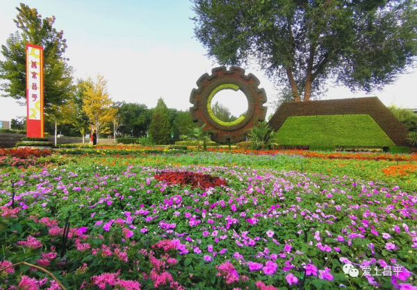 人間最美清秋天,來昌平這些免費遊玩地看看吧~ 人間最美清秋天,來昌平這些免費遊玩地看看吧~