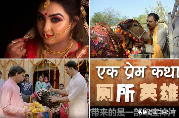 印度男子拋妻棄子，寧願和牛生活在一起，他的生活會幸福嗎？