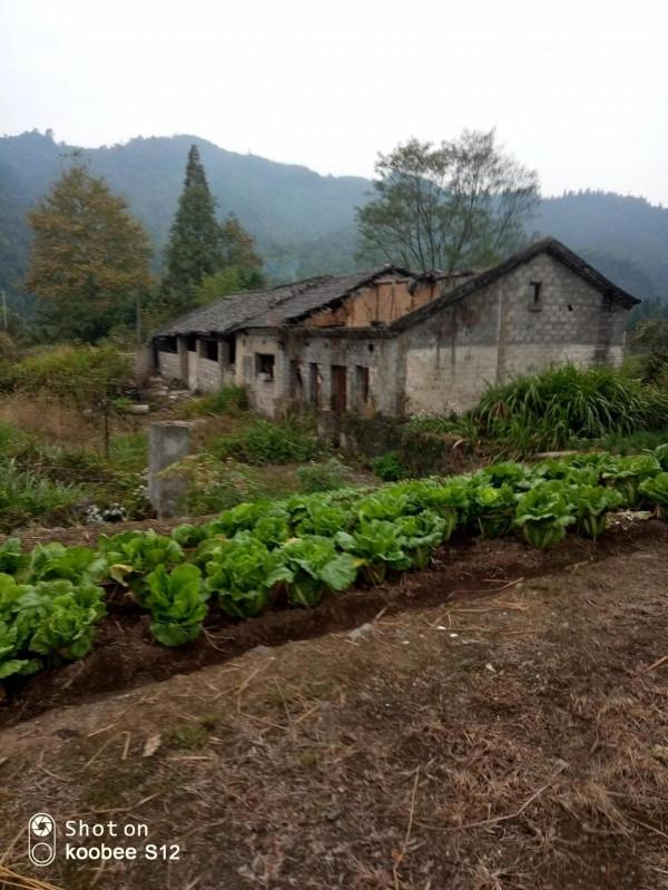 皖南旅遊記(一)