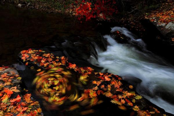 吉林樺甸:楓葉如丹,又見一年秋映紅 吉林樺甸:楓葉如丹,又見一年秋映紅