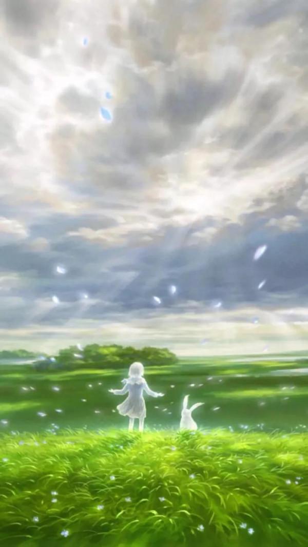 貓先生與兔小姐的故事