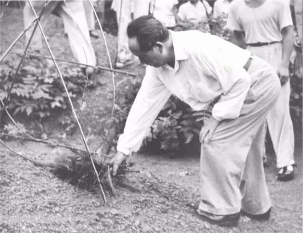 59年毛澤東回韶山，看到父母墳墓破爛不堪，他說：不要修，就這樣