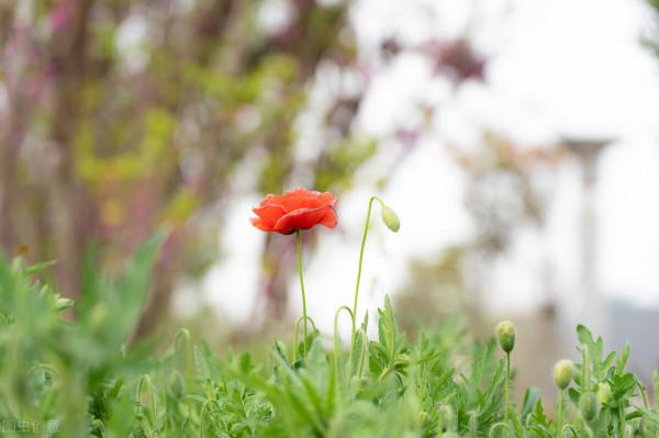 58歲阿姨坦言：比孤獨更難忍受的是，天天見面，卻彼此厭倦