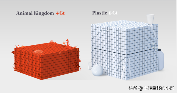 視覺化地球上人為質量的積累