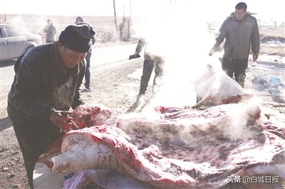 歡樂殺年豬 幸福生活美