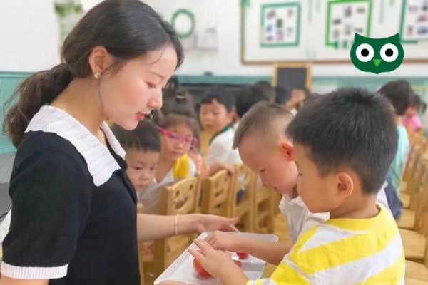 成長手記:一顆西紅柿的奇妙之旅 成長手記:一顆西紅柿的奇妙之旅