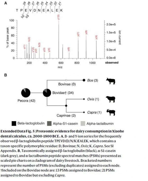《Nature》：中國塔里木盆地青銅時代人群起源是本土的