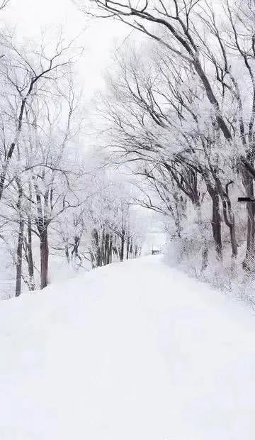 華夏文萃636期詩詞鑑賞 華夏文萃636期詩詞鑑賞