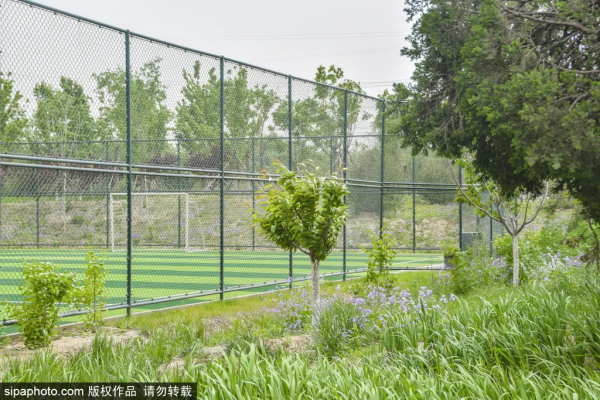 親切!家門口的這些免費小公園,承包你不出遠門的夏天! 親切!家門口的這些免費小公園,承包你不出遠門的夏天!