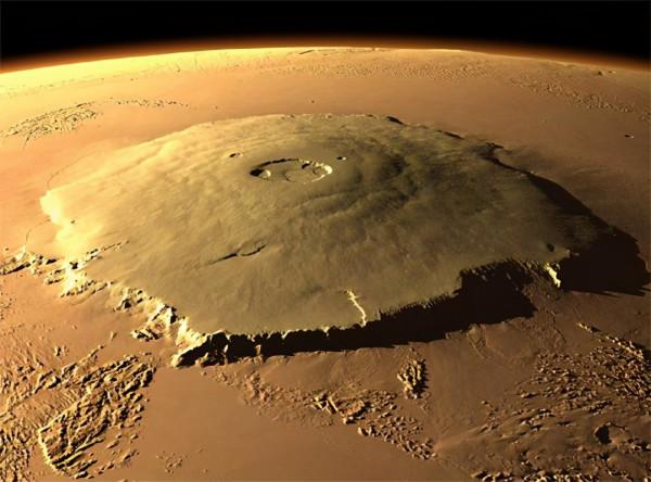 25張活久見圖片,狗狗竟用武器決鬥,山羊也能上樹? 25張活久見圖片,狗狗竟用武器決鬥,山羊也能上樹?