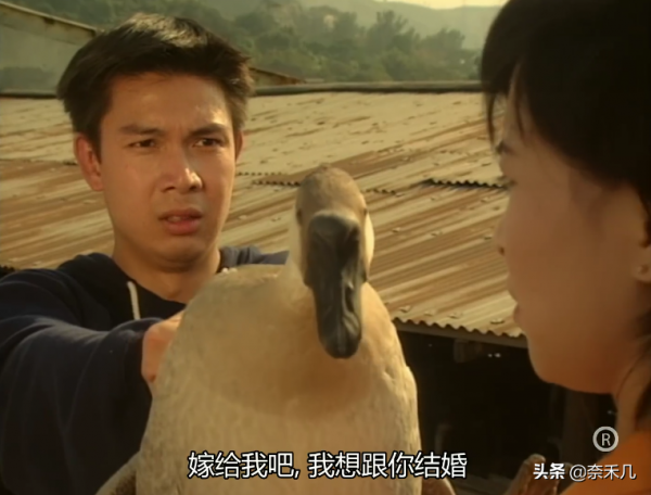 那些年，忠義“愛”過的女人：《刑事偵緝檔案》渣渣忠義感情史