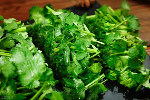 香菜怎麼儲存?老菜農教你3招,保證不軟不爛,一整年不壞 香菜怎麼儲存?老菜農教你3招,保證不軟不爛,一整年不壞