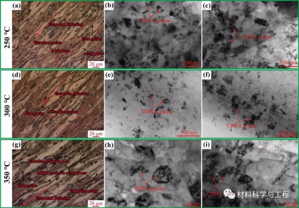 丁文江院士團隊《JMST》綜述:鎂鋰合金的塑性變形與熱處理 丁文江院士團隊《JMST》綜述:鎂鋰合金的塑性變形與熱處理