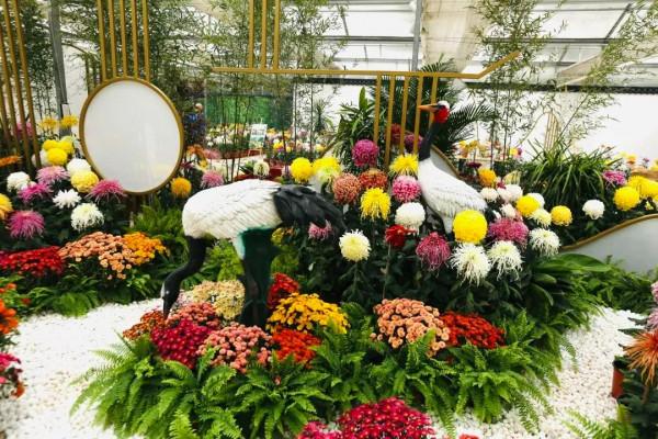 【FENG娛】速看!世界花卉大觀園裡有什麼?細數那些藏不住的精彩! 【FENG娛】速看!世界花卉大觀園裡有什麼?細數那些藏不住的精彩!