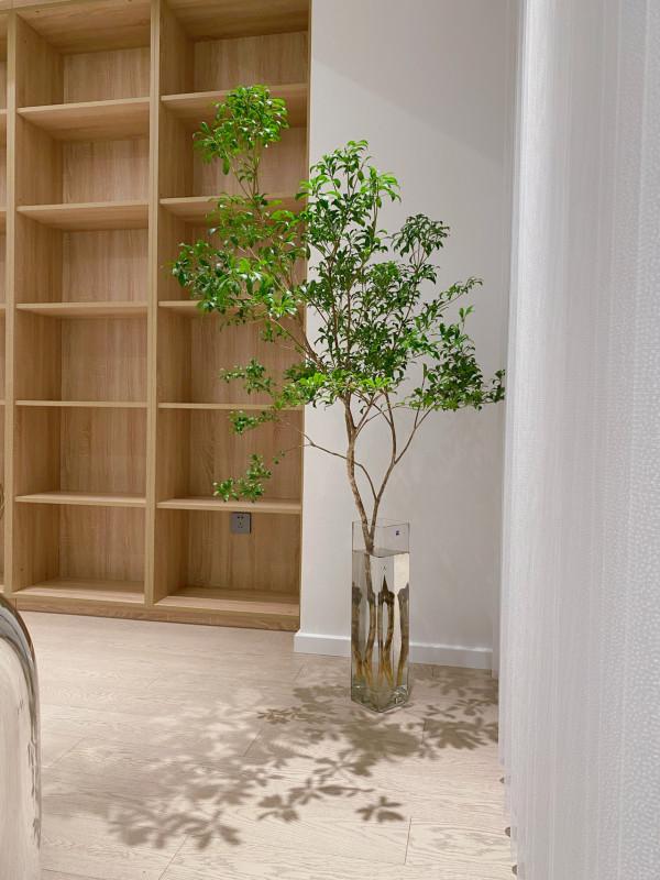 質問設計師：這些“網紅家居產品”，你們自己會拿回家用嗎？